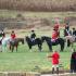 Hillsboro Hounds Opening Hunt